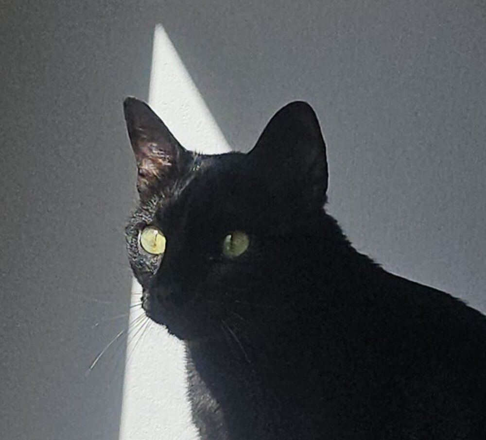   COCO 