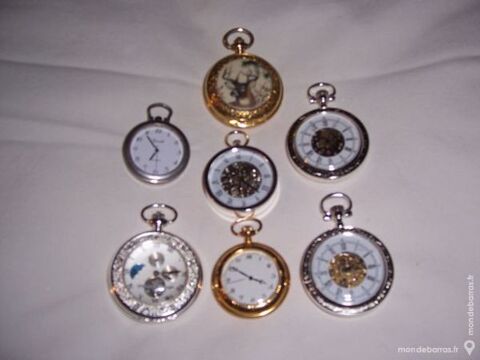 MONTRE A GOUSSET 1 Soullans (85)