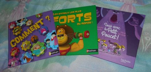 Lot 3 livres pour enfants (Nathan/Hachette)  3 Ervy-le-Chtel (10)