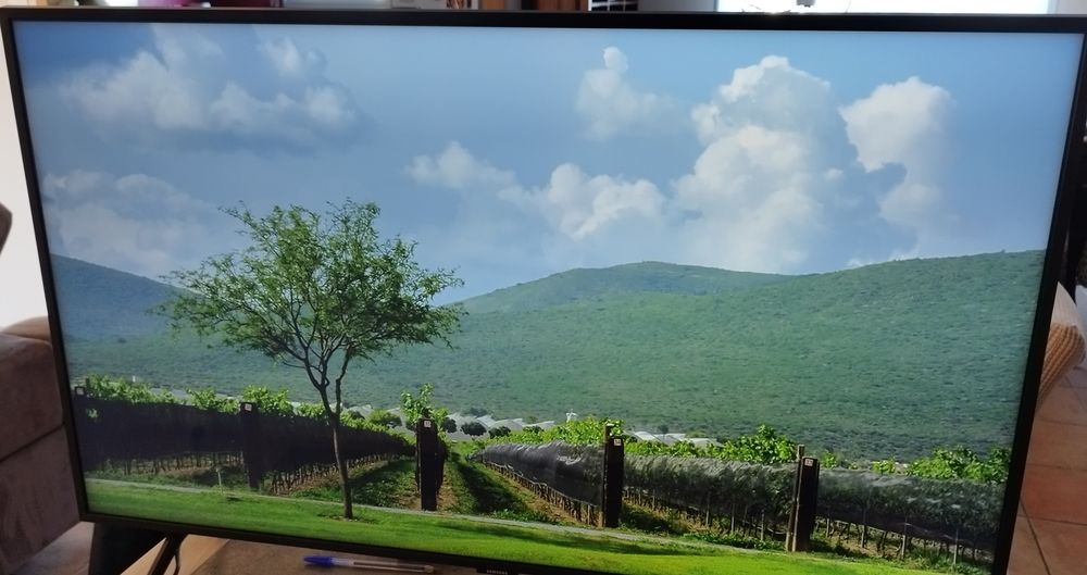 TV SAMSUNG QLED 4 K 108 CM Photos/Video/TV