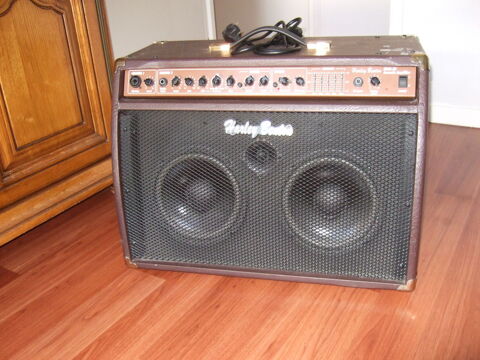 amplis acoustique 150 Lanton (33)