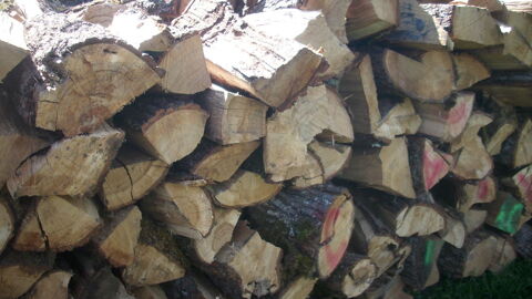 Bois   de   chauffage 50 Moulins (03)