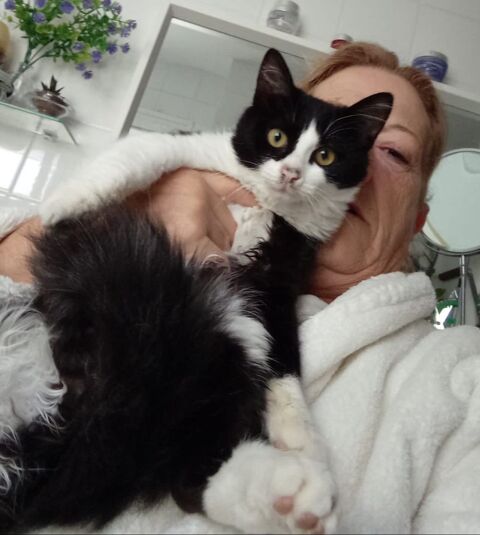 FELISA 230 27620 Gasny