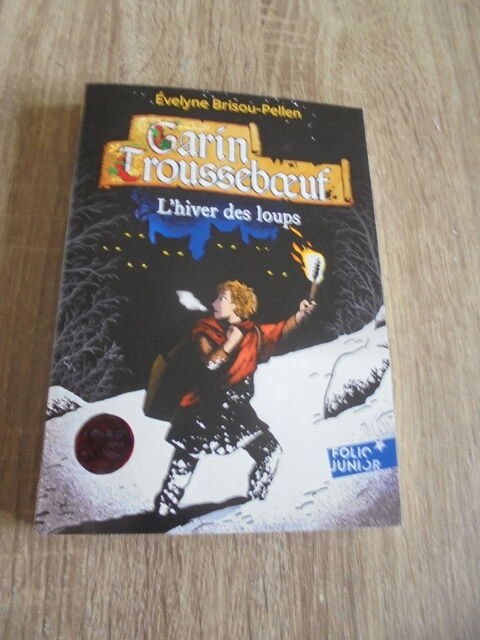 Garin Trousseboeuf (105) 2 Tours (37)