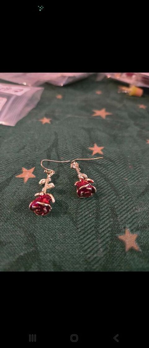 boucles d'oreilles 5 Le Chesne (27)