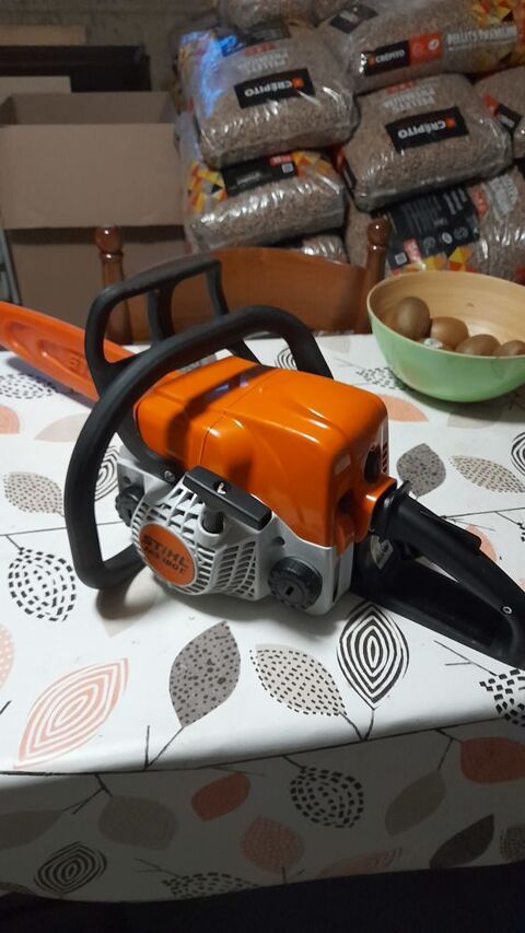 trononneuse 290 Tremblay-les-Villages (28)