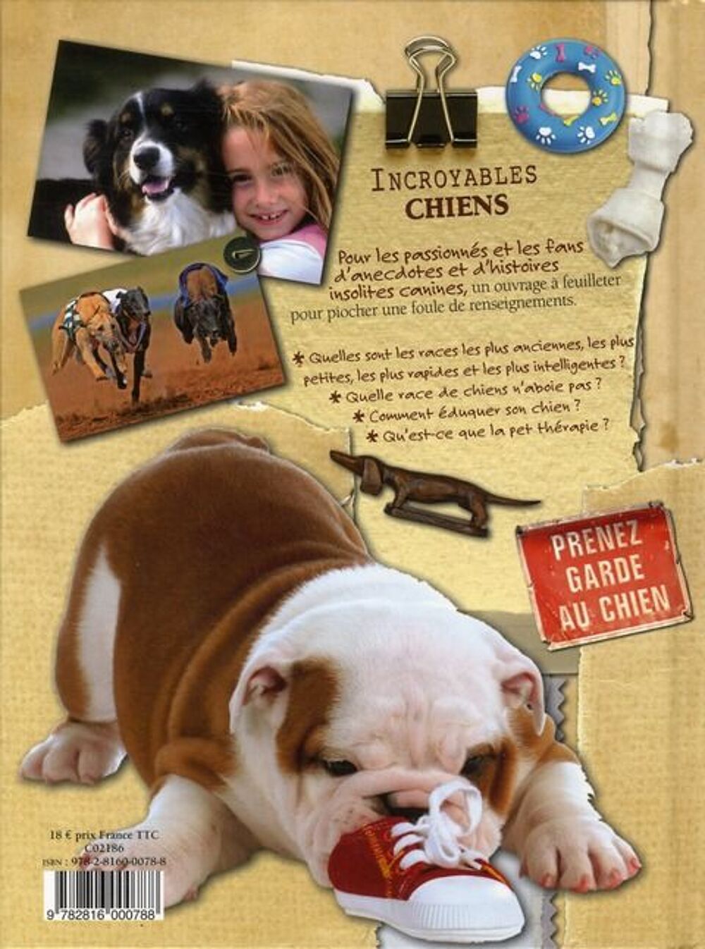 Incroyables chiens par Ryan O'MEARA Livres et BD