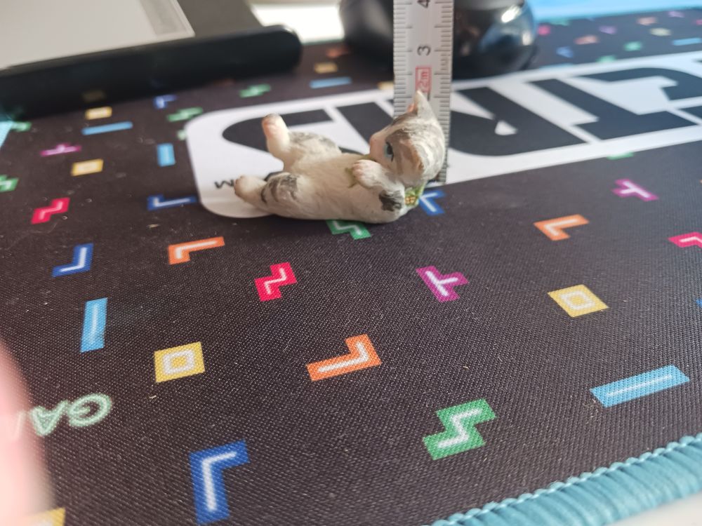 sujet chat allong&eacute; blanc 