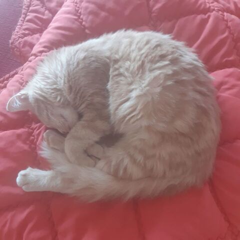 NIKITA 180 26100 Romans-sur-is�re