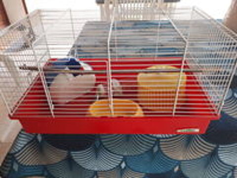  cage pour rongeurs, hamsters, cochons d'Inde 