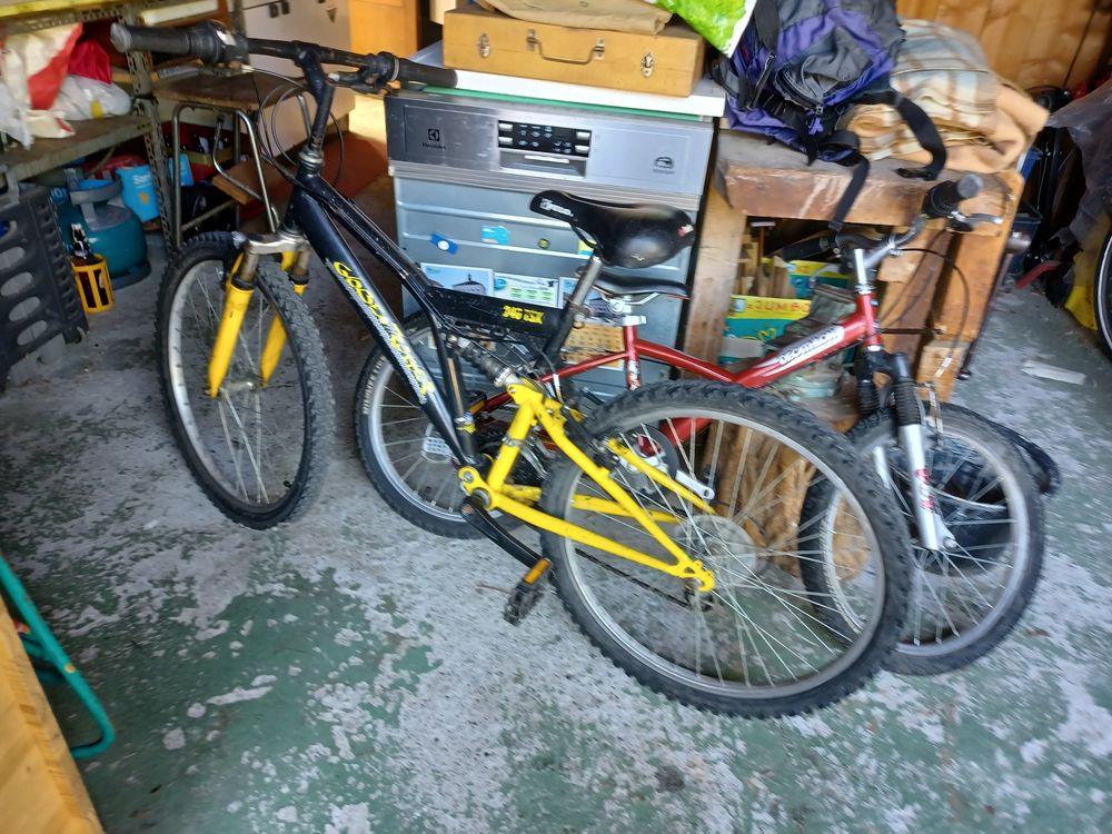 deux v&eacute;los d'enfants Vlos