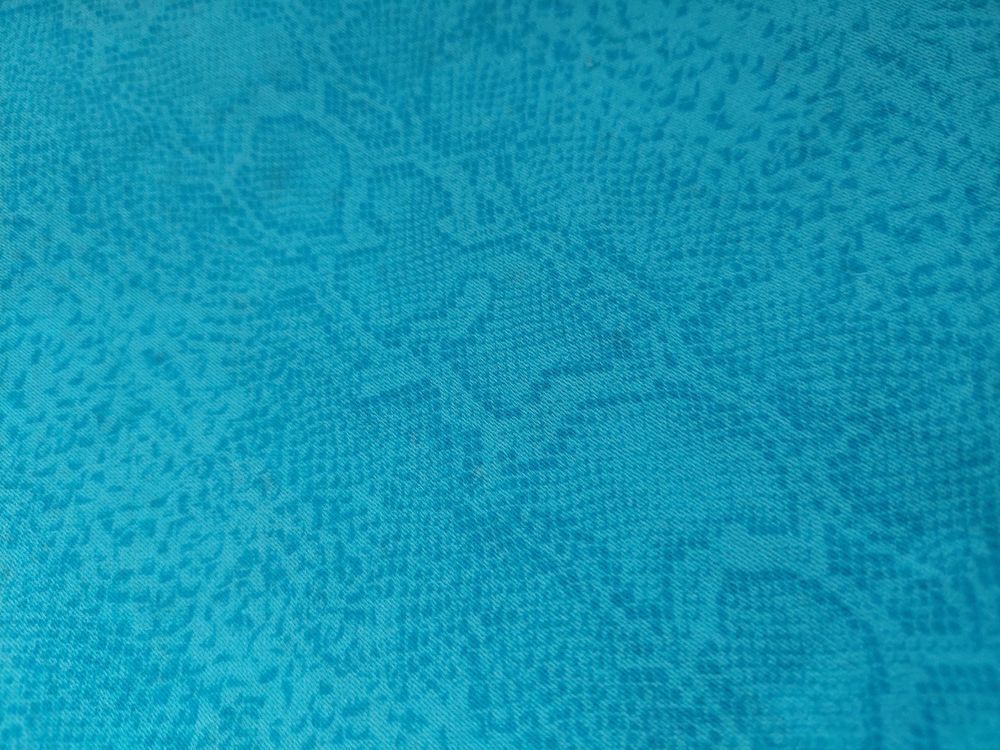 Short taille 38 Vêtements