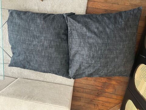 Lot 2 coussins intérieur / extérieur Paris (75)