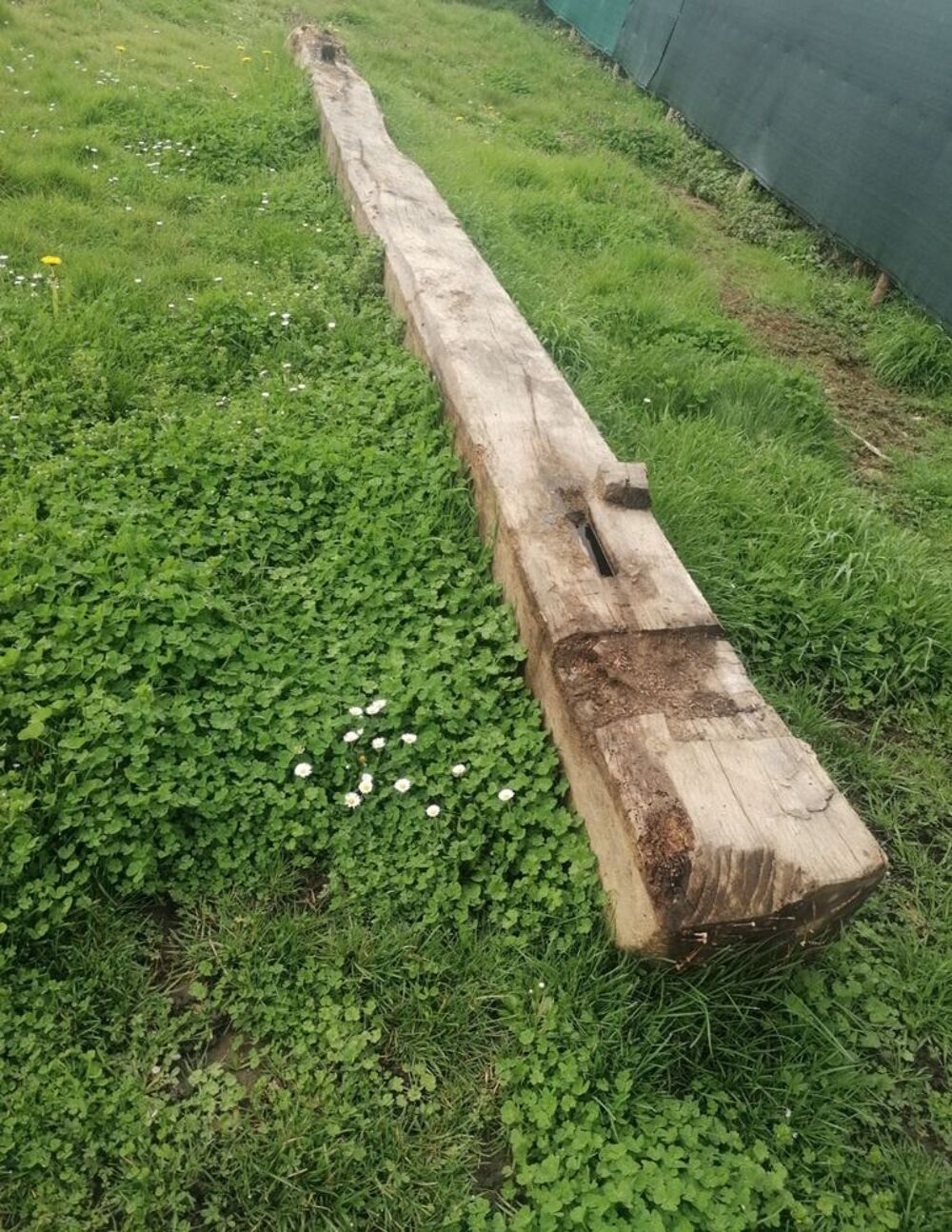 Poutre ch&ecirc;ne plus de 6 m&egrave;tre Bricolage