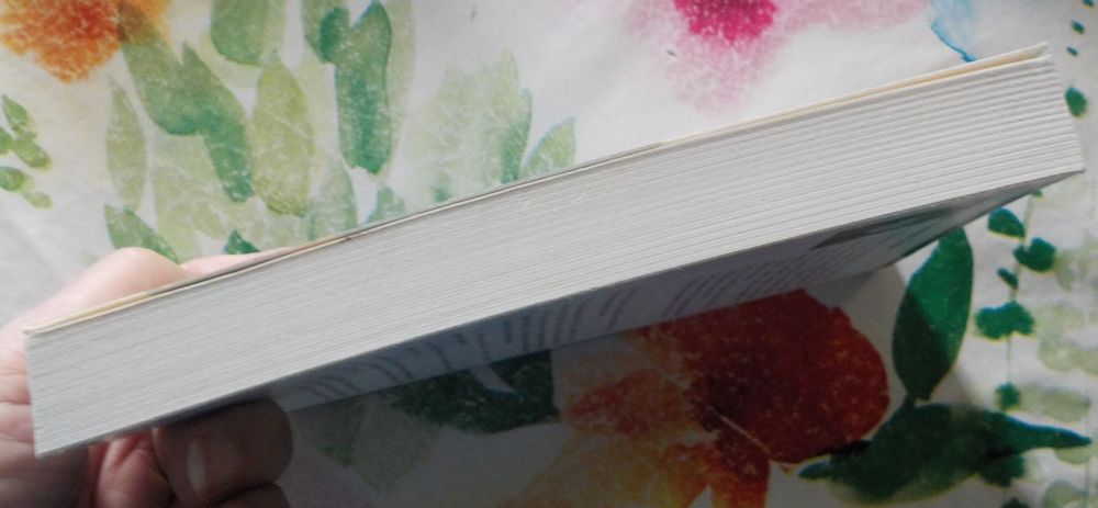 L'ANGE DE GROIX de Fran&ccedil;oise LE MER Ed. Pal&eacute;mon Livres et BD