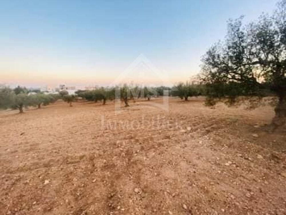 Vente Terrain Terrain de 4018 m² à 200 dt/m² à Hammamet Sud Hammamet sud, tunisia (Tunisie)
