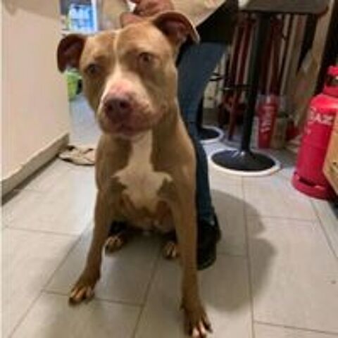   URGENCE POUR LOKA 