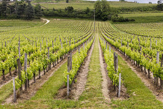  Propri�t�/ch�teau � vendre 5 pi�ces 