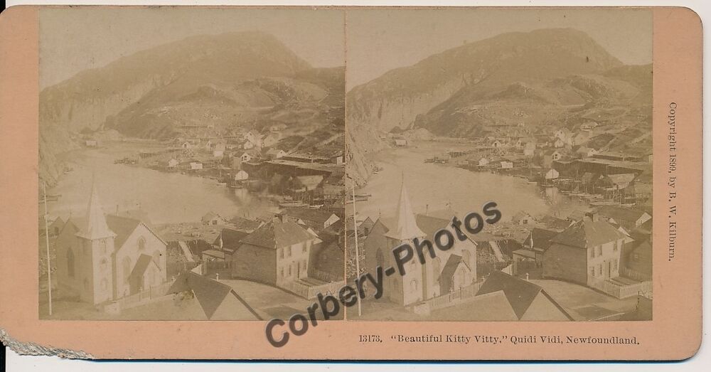 STEREOVIEW PHOTO CANADA NEWFOUNDLAND QUIDI VIDI 