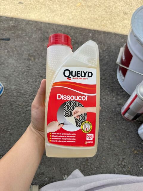 Dissoucol D&eacute;colle tous les types de papiers peints 5 69200 Vénissieux