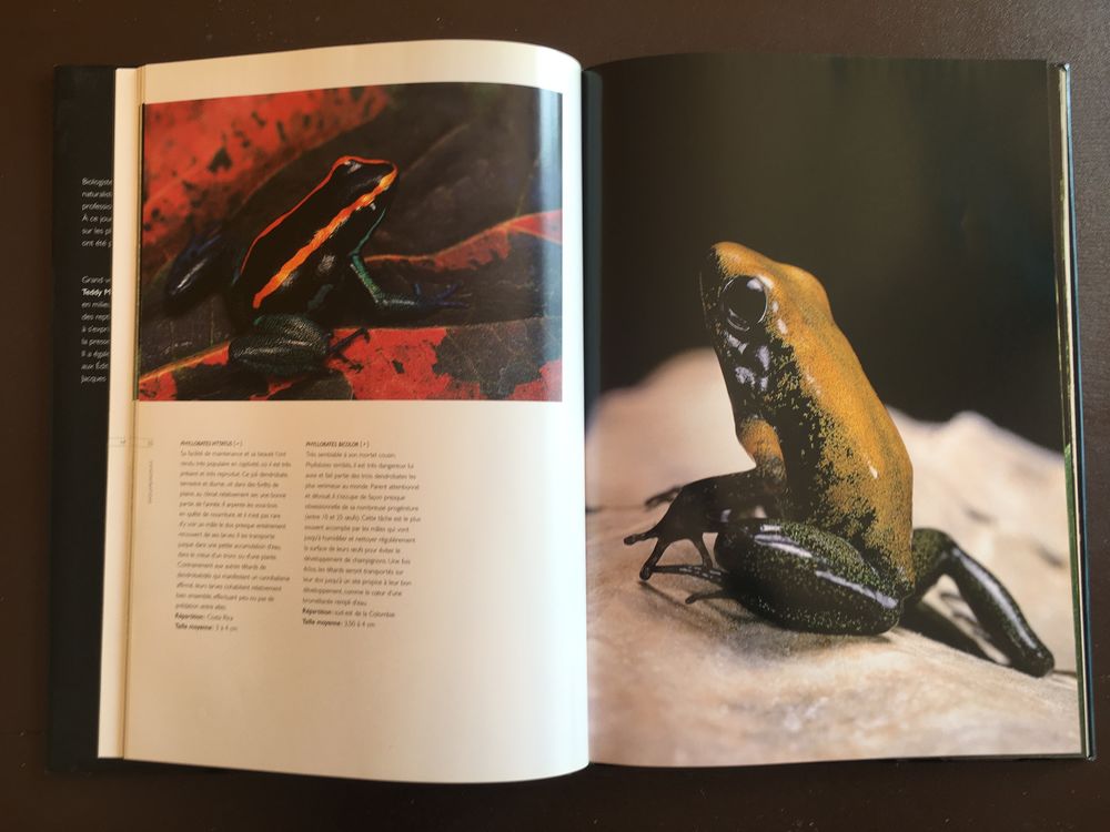 Amphibiens (Grandes Illustrations Haute Qualit&eacute;) Livres et BD