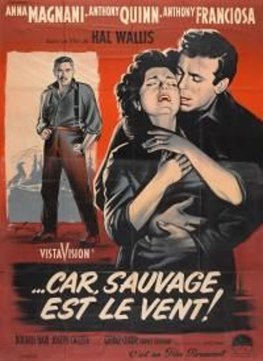CAR SAUVAGE EST LE VENT DVD et blu-ray