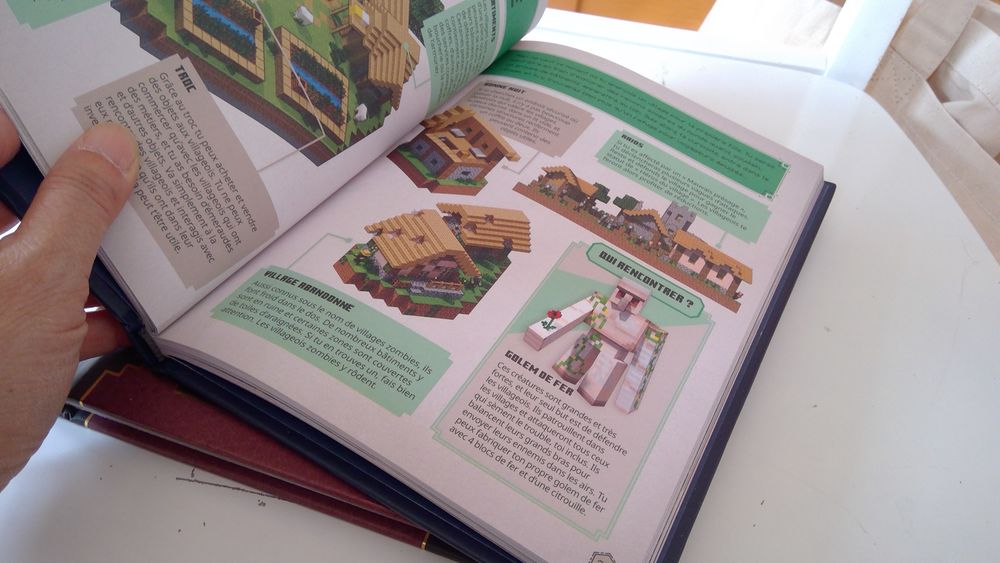 8€ Minecraft livres Livres et BD