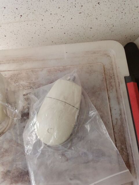 souris Apple  apple mouse II   adb moderne 32 Lampertheim (67)