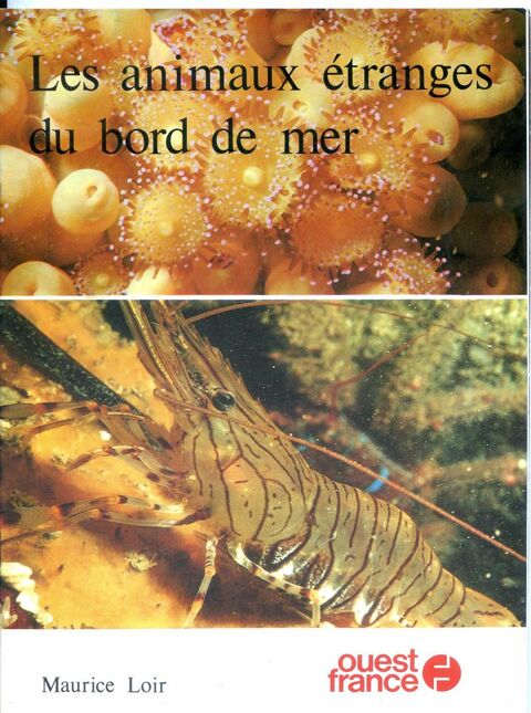 Les animaux �tranges du bord de mer -Maurice Loir 5 Rennes (35)