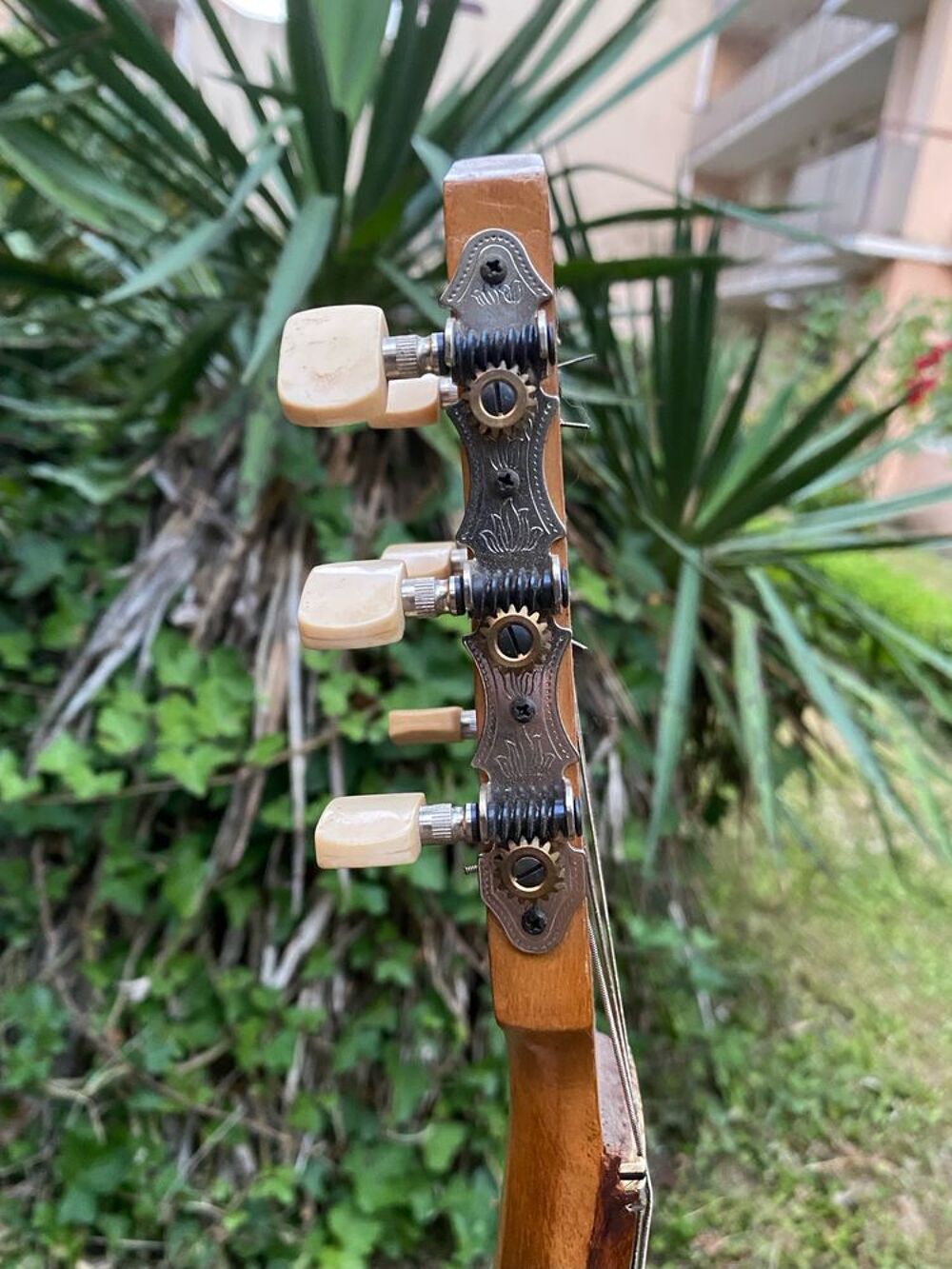 Guitare manouche pour concerts Instruments de musique