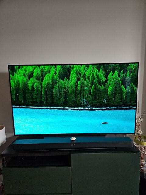 TV LG OLED 
Mérignac (33)
