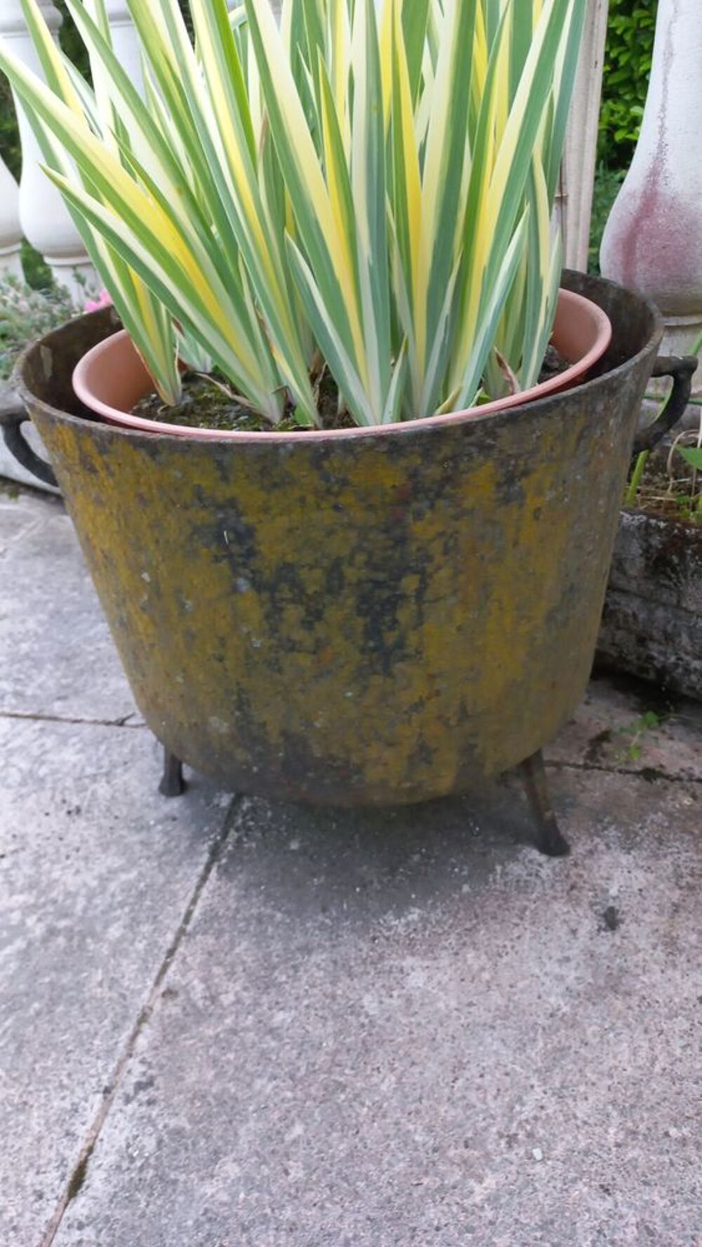 GROSSE MARMITTE EN FONTE 
Jardin