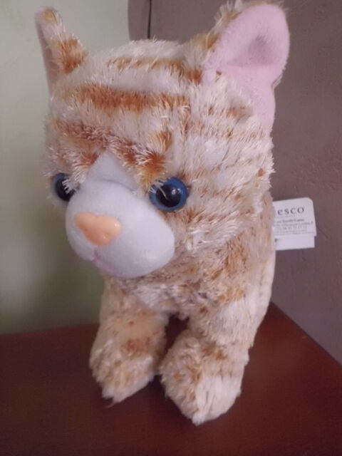 CHAT ROUX TIGRE ENESCO 13 Oignies (62)