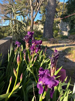  Maison � vendre 3 pi�ces 60 m�