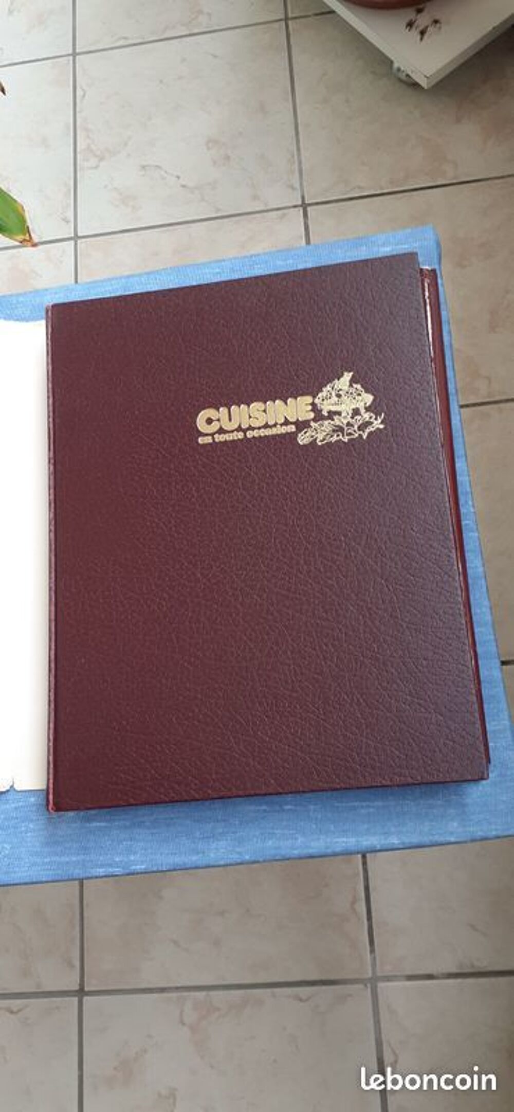 Livre de cuisine : Cuisine en toute occasion Livres et BD