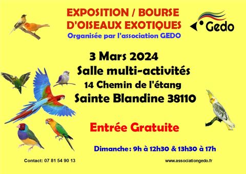 Bourse aux oiseaux 1 38110 Sainte-blandine