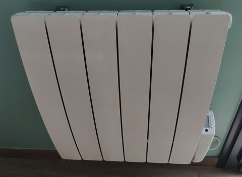 Radiateur Delonghi 1000 Val-de-Reuil (27)