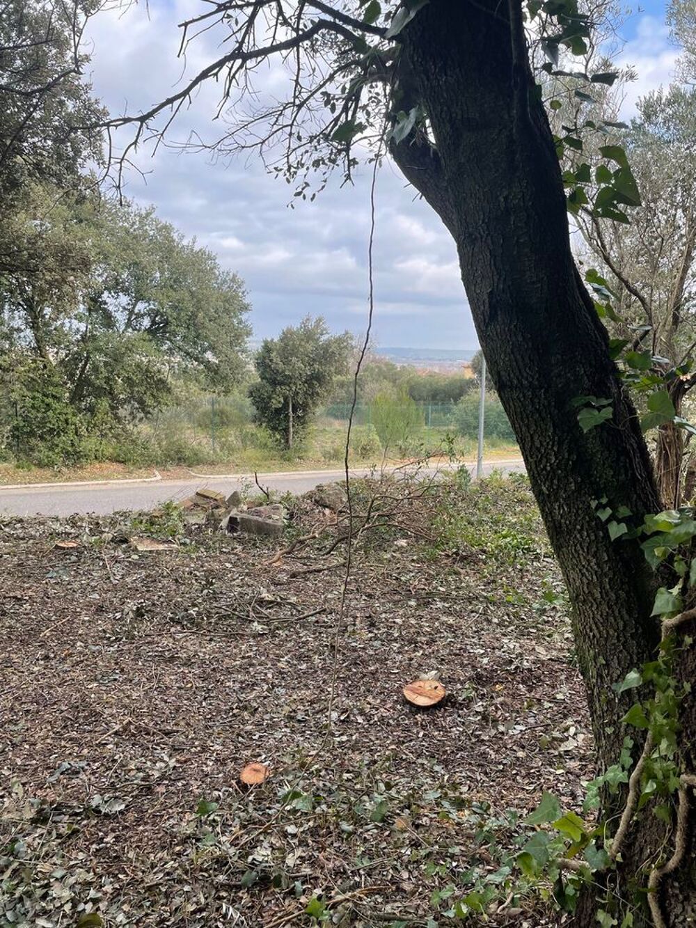 Vente Terrain terrain Collias 400 m2 Collias