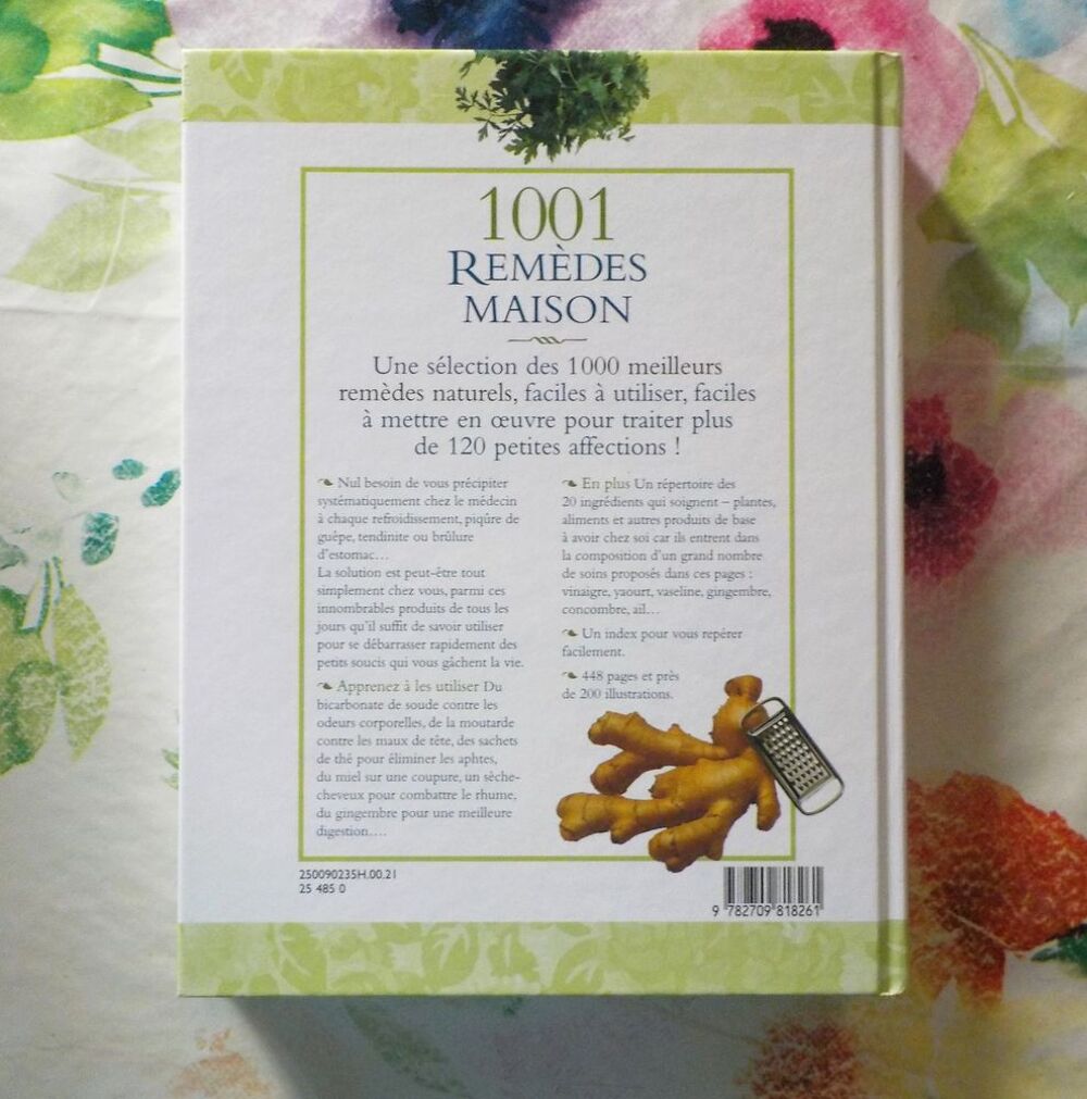 1001 REMEDES MAISON Des solutions simples pour une bonne san Livres et BD