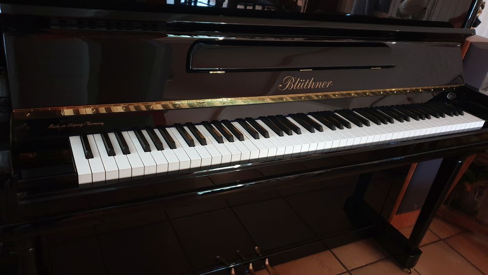 Bl&uuml;thner Mod&egrave;le A-124 Instruments de musique