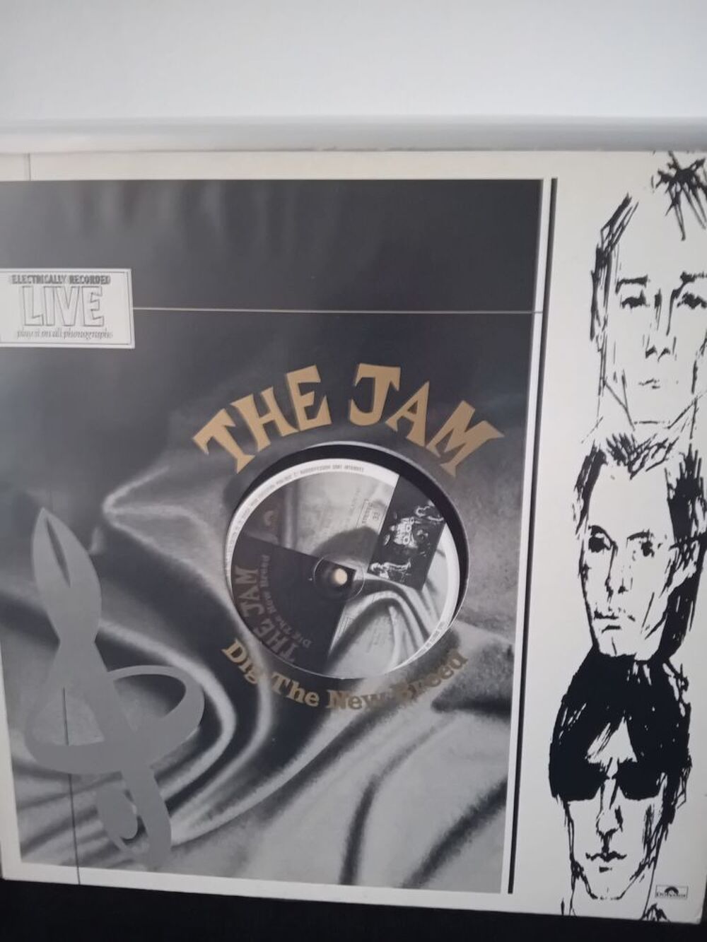des disques vinyles de punk et punk rock. CD et vinyles