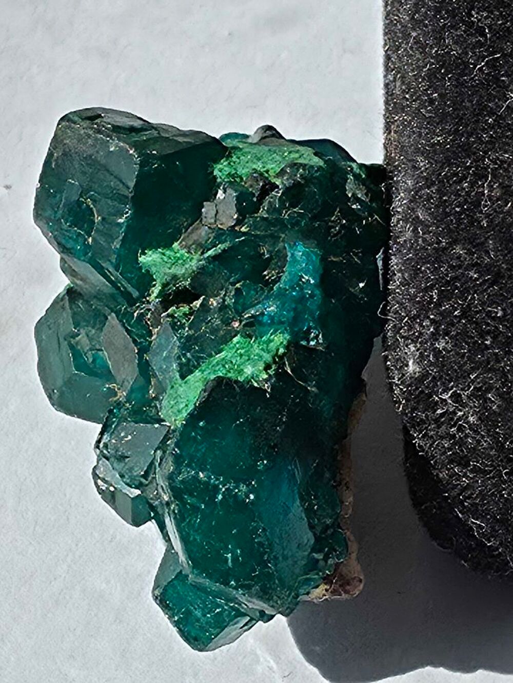 Rare Dioptase Verte sur Matrice-Katanga, RDC-8g 