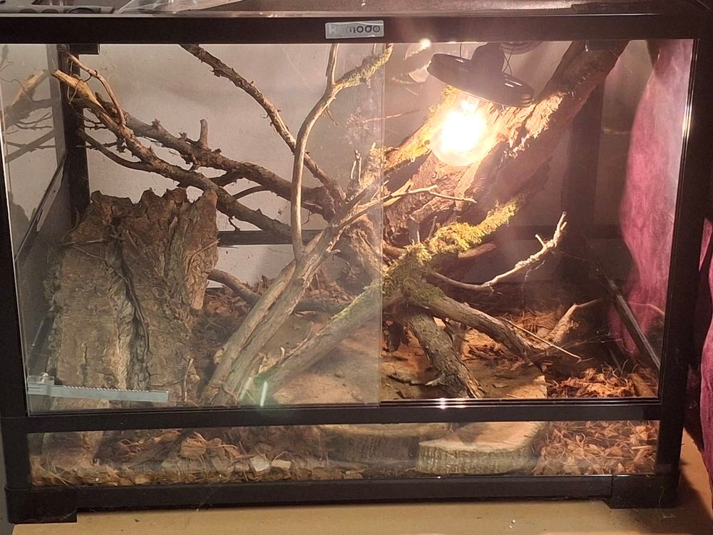   Petit terrarium neuf 