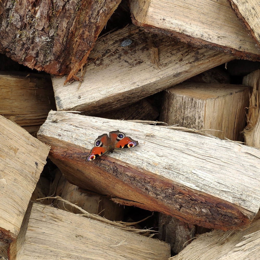 Bois de chauffage sec Jardin