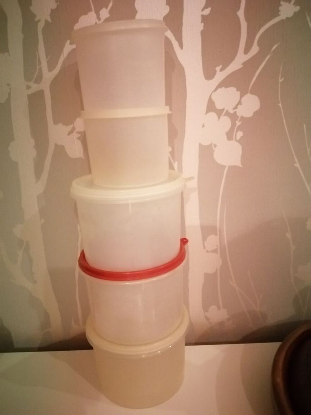 Lot de 5 tuperware Cuisine