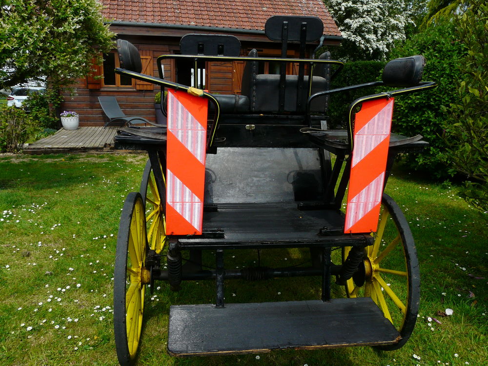 voiture attelage cheval Sports