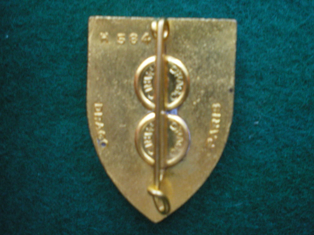 Insigne de Sant&eacute; - H&ocirc;pital des Arm&eacute;es Henri Loinger 