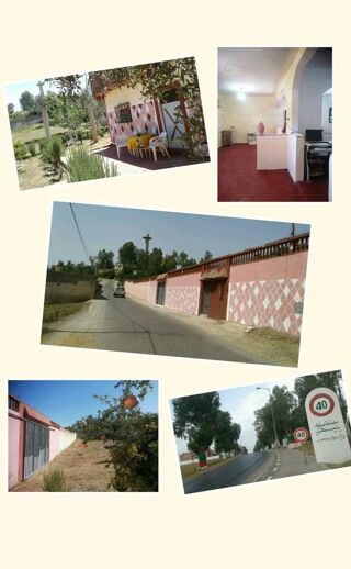  Terrain  vendre 1196 m Arbaoua, maroc