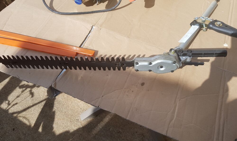Taille haie Bricolage