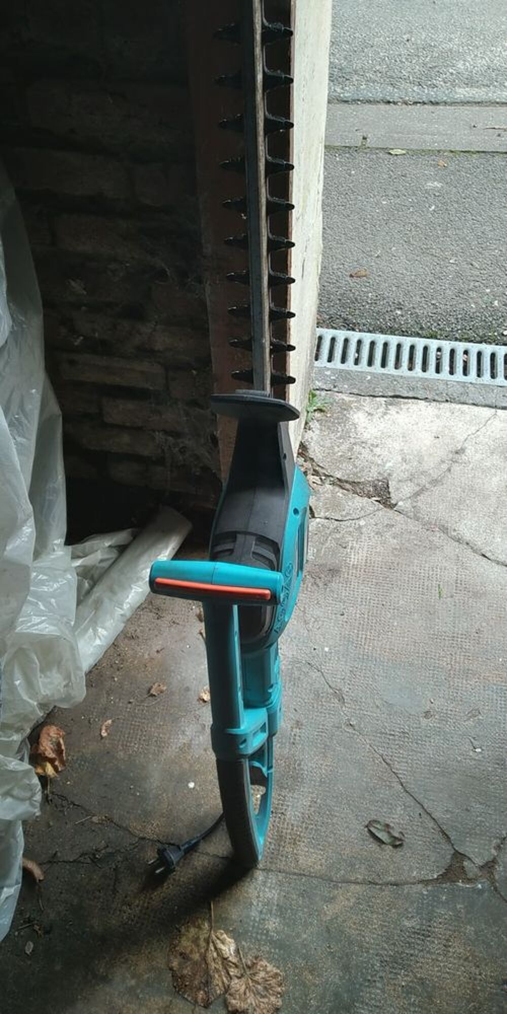 taille haie Jardin